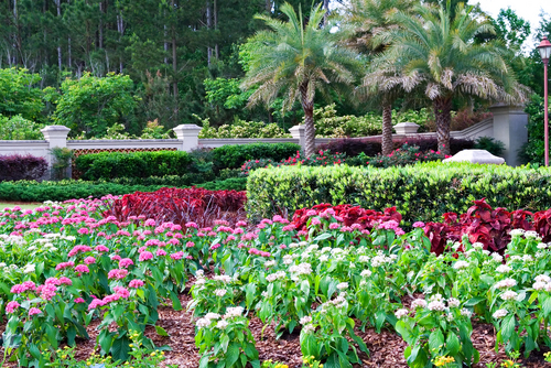 South Carolina